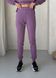 Теплый спортивный костюм на флисе с укороченным худи фиолетовый Merlini Нант 100001045, размер 42-44 (S-M)